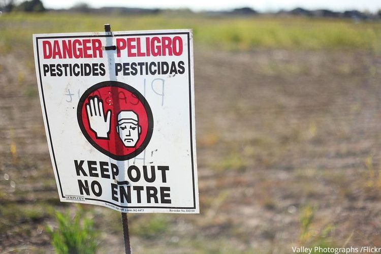 Campo coltivato con un cartello che avverte del pericolo dei pesticidi.