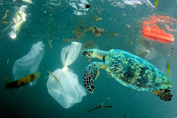 Smettiamo di soffocare gli oceani con la plastica
