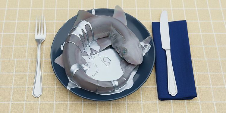 Tiburón servido en un plato, cubierto de mercurio - listo para ser comido.