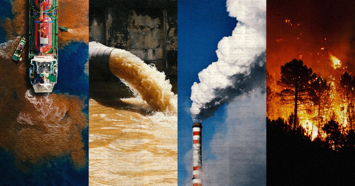 collage de photos d'écocides