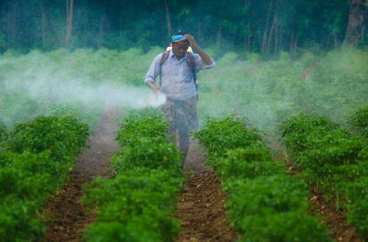 1 in 5 cups of coffee sold in Europe contains toxic pesticides, including chemicals the EU has already banned. Sign to keep poison out of our coffee!