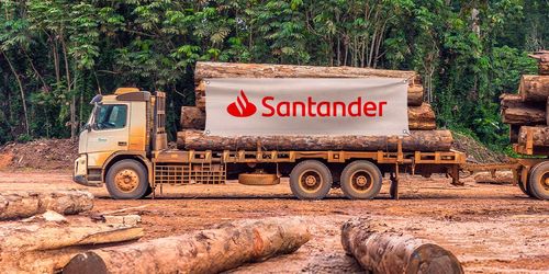 Camions arborant le logo de la banque Santander au milieu d'une forêt déboisée.